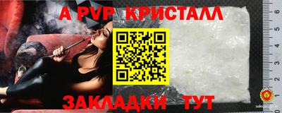 spice Севастополь
