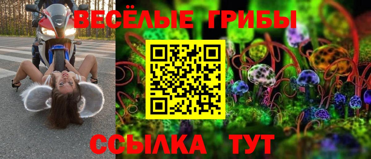 Альметьевск  Псилоцибиновые грибы прущие грибы  что такое   Вход с VPN 